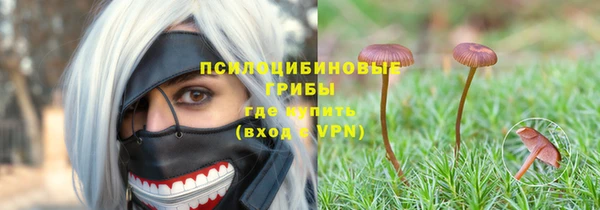 прущие крисы Абинск