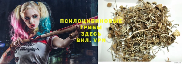 прущие крисы Абинск
