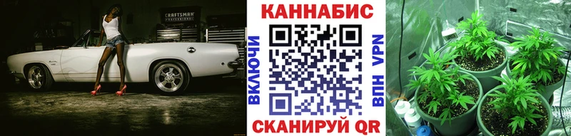 МАРИХУАНА семена  Горбатов 